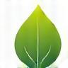 Leaf and skin care icon representing rejuvenated skin