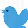 Twitter Icon
